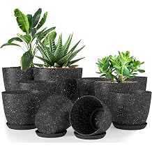 Utopia Home - Spotty Plant Pots Indoor with Drainage - 7/6.6/6/5.3/4.8 Inches Flower Pots - 10 Pack Plastic Planters - Ideal for Stocking Stuffers - Speckled Black, Pack of 10