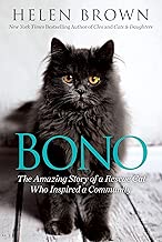Bono: The Amazing Story of a Rescue Cat Who Inspired a Community