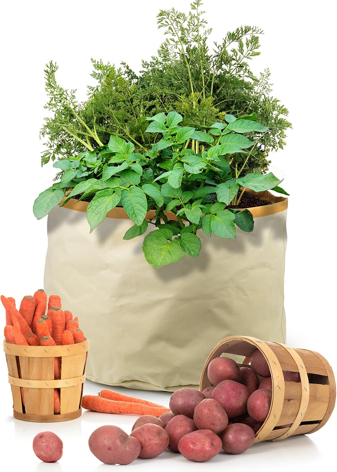 HGBRO Root Vegetables Harvest Grow Bag