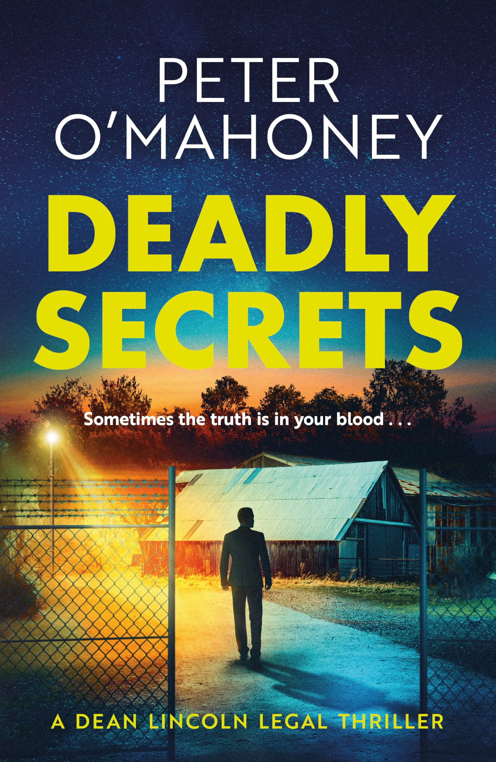 Deadly Secrets: 4 (Dean Lincoln Legal Thriller)