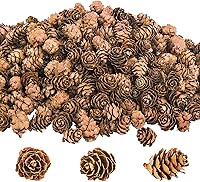 Vista 7 de Deloky 250 piezas de piñas naturales de Navidad, adornos de piñas de Acción de Gracias para manualidades, decoración del hogar, otoño y Navidad