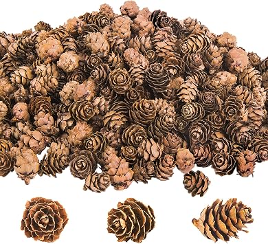 800 Pcs Christmas Natural Mini Pine Cones-Thanksgiving Pine Cone Ornaments