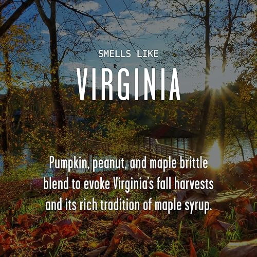 Vista 174 de Regalos de Nueva York, decoración de Nueva York para el hogar – 'There No Place Like New York Candle, con manzana jugosa, canela y calabaza I New