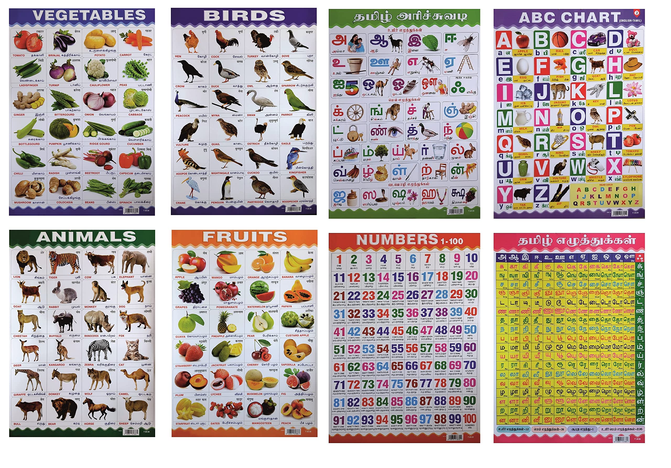Buy Exclusive 8 Combo Educational Board Charts ( Tamil, English And