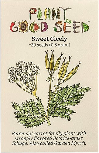 Plant Good Seed Sweet Cicely Seeds - Paquete de 20 semillas tradicionales para plantar flores, suministros de jardinería, jardín de hierbas, flores