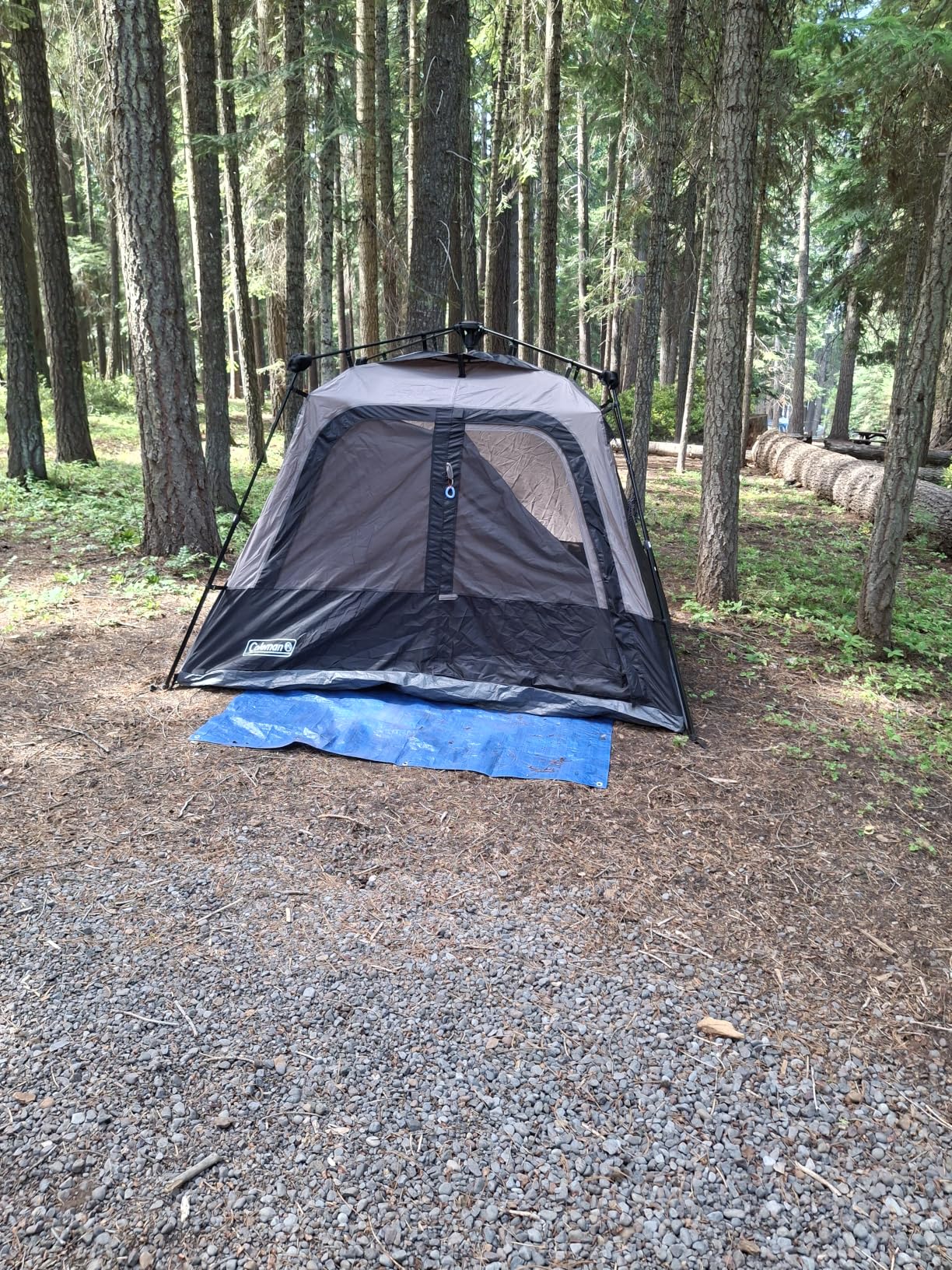 Customer Image