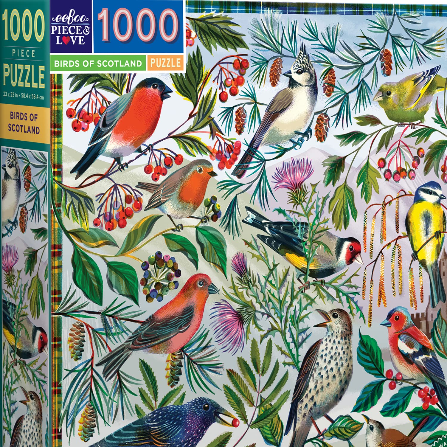 eeBoo 1000 Teile – Die faszinierenden Vögel aus recyceltem Karton – Hochwertiges Puzzle für Erwachsene – PZTBDS