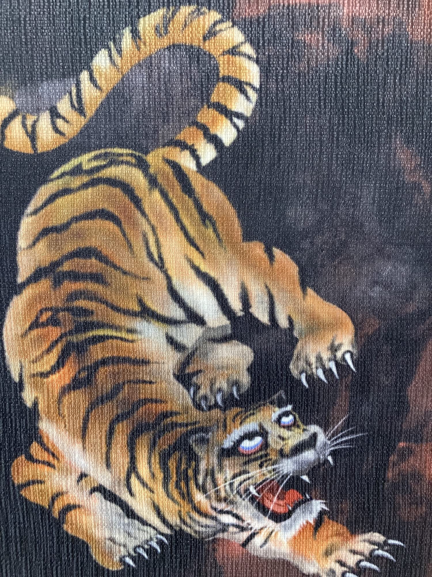 Amazon.co.jp: アートパネル（ファブリックパネル） 冥界龍虎図 アート