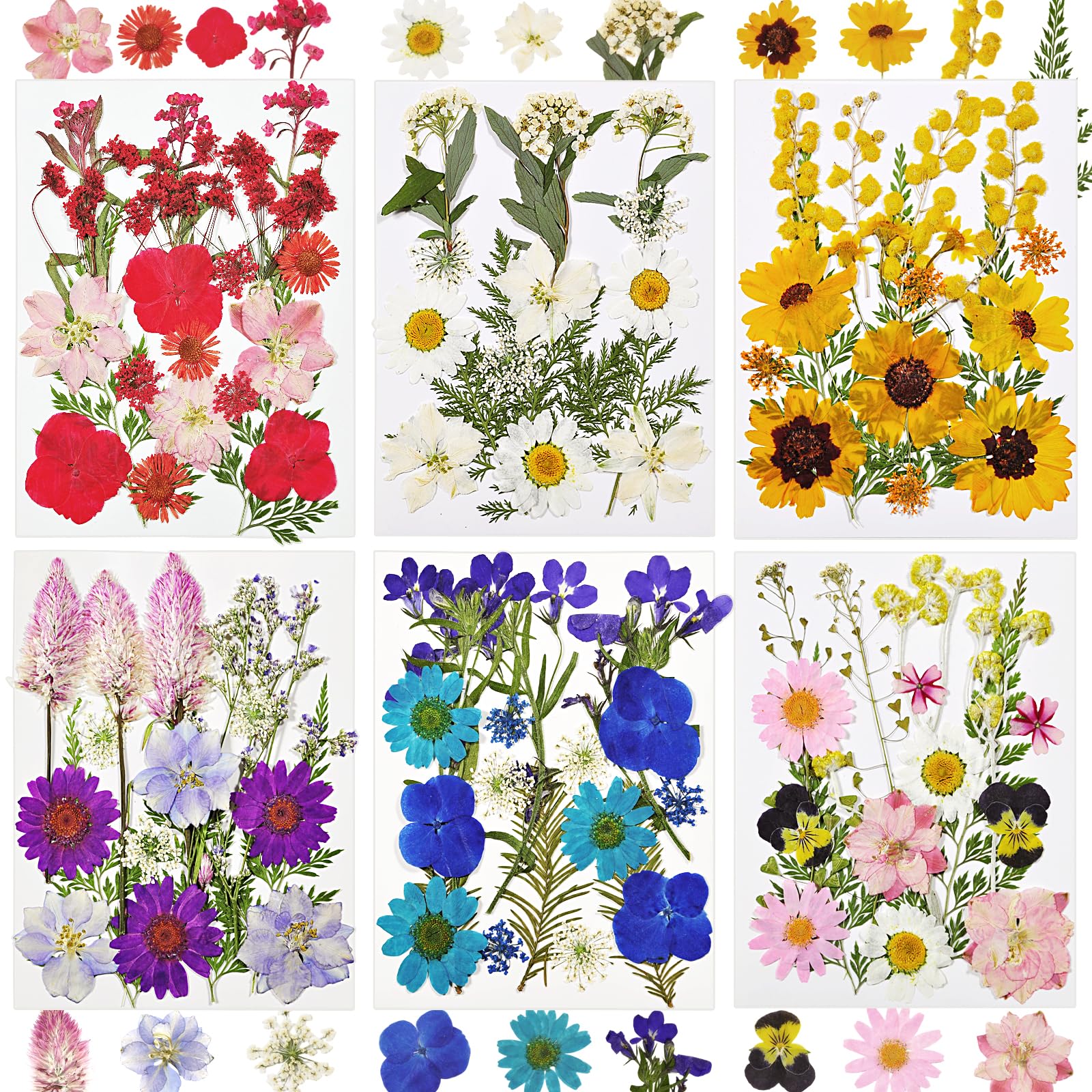 Dried Flowers for Resin, 106pcs Natural Flowers and Leaves Compressed