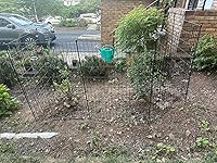 Review Image by John John