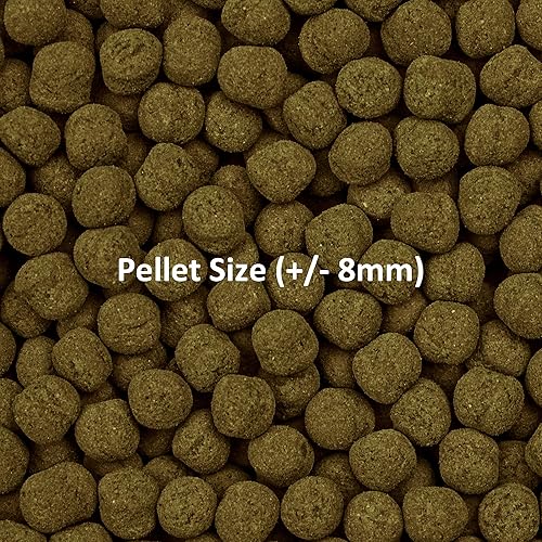 Miniatura 5 de Ocean Nutrition Fórmula dos pellets