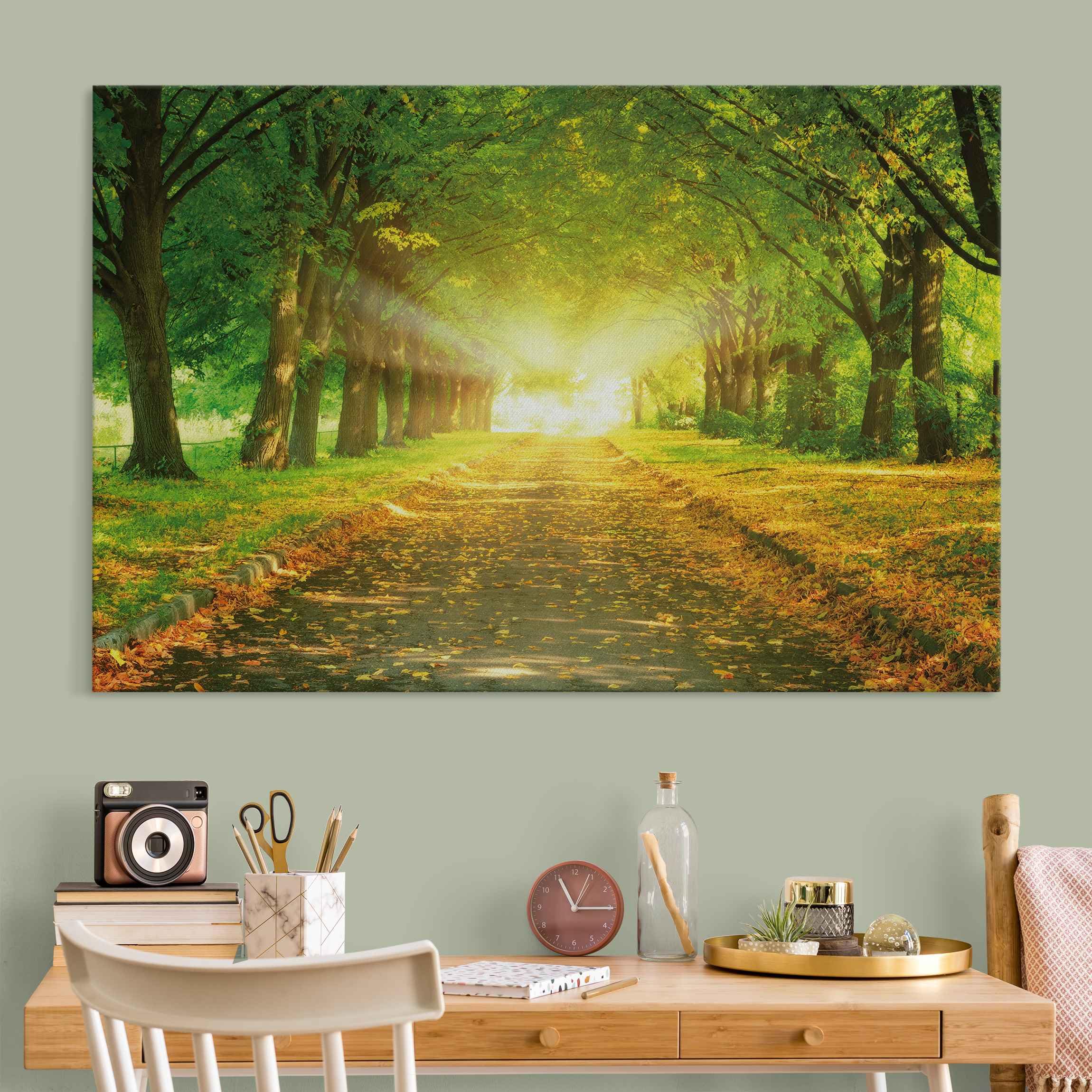 micasia Akustikbild Wald Bäume Natur Schallschutzbild 4cm Keilrahmen & Schallabsorber - Baum Modern grün Wohnzimmer Schlafzimmer Bild für bessere Raumakustik 1672 (150x100cm)