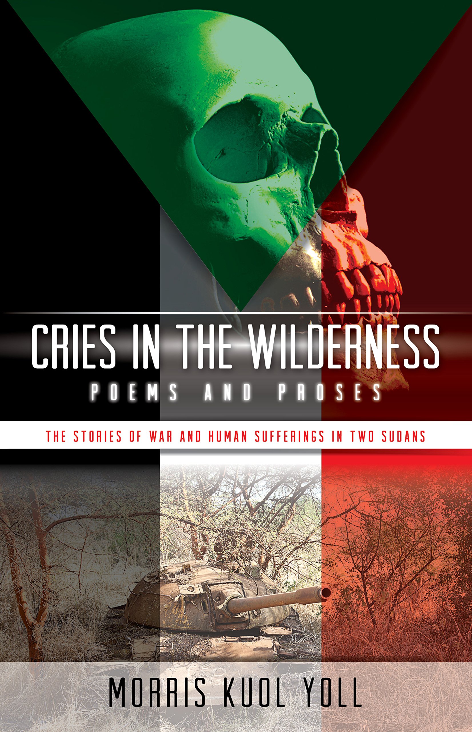 Cries in the Wilderness: The Stories of War and Human Sufferings in Two Sudans