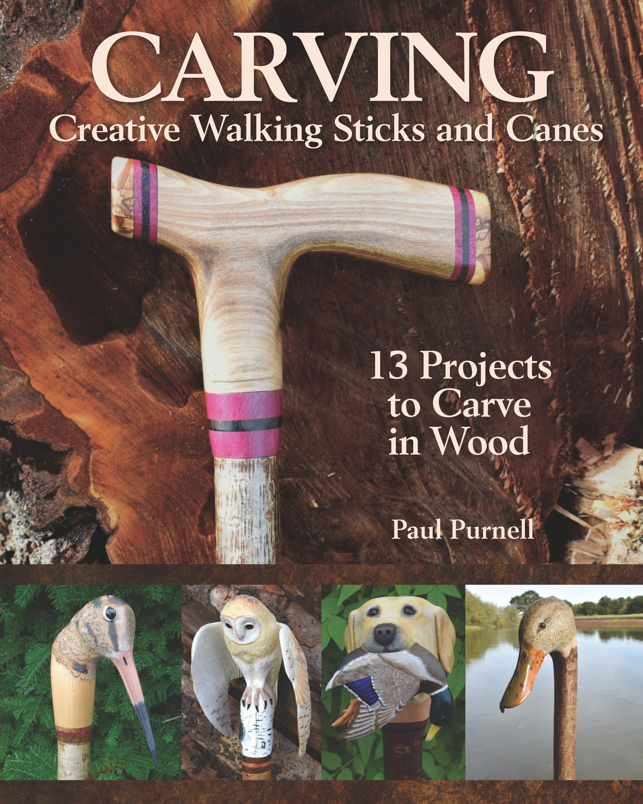 Carving Creative Walking Sticks and Canes: 13 Projects to Carve in Wood (Fox Chapel Publishing) Step-by-Step Instructions, Stickmaking Tips, Finishing, and More, for Carvers from Beginner to Advanced