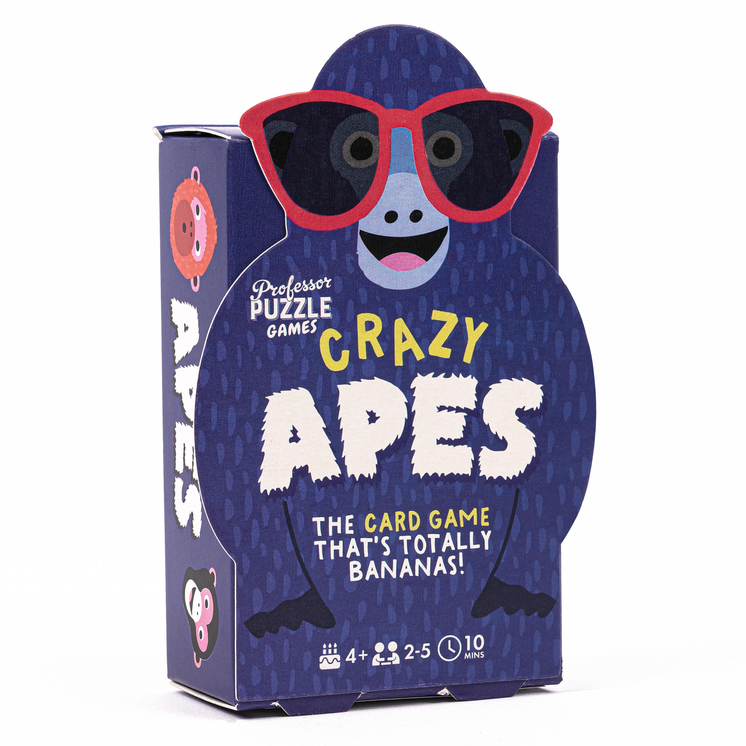 Professor PUZZLE Crazy Bees