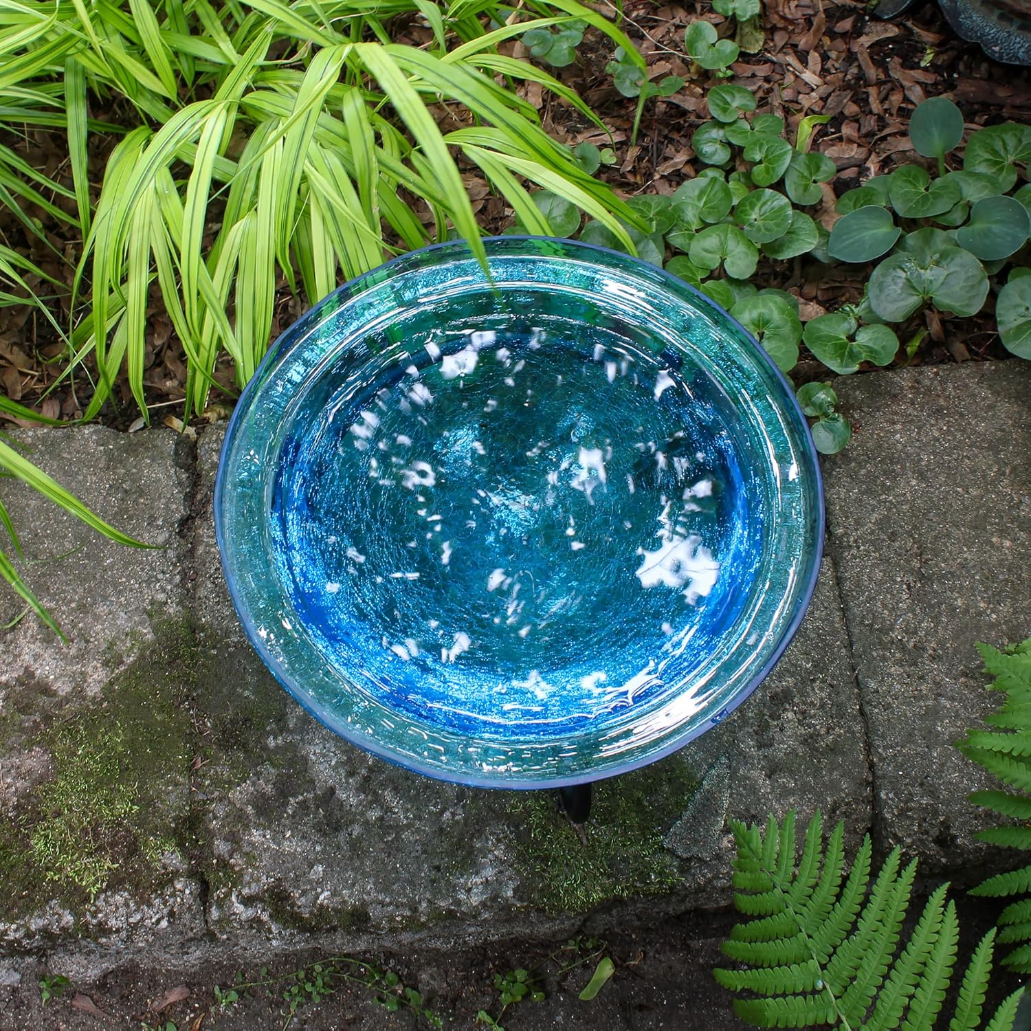 Achla Designs 201-7023 12 Inch Teal Crackle Short Stand Birdbath