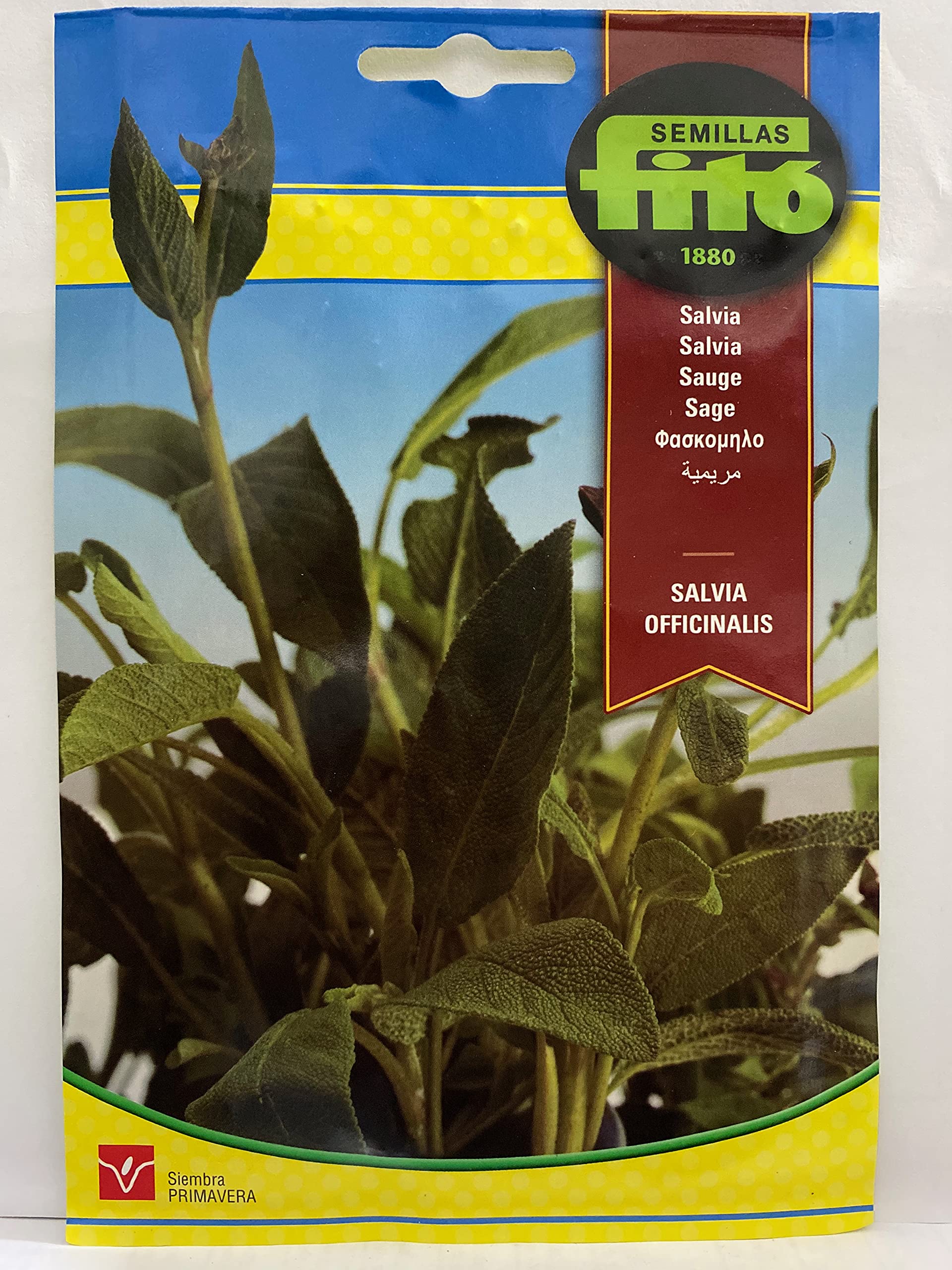 Semillas Fito SAUGE SEEDS (Net weight 2 grams.) – بذور مریمیة