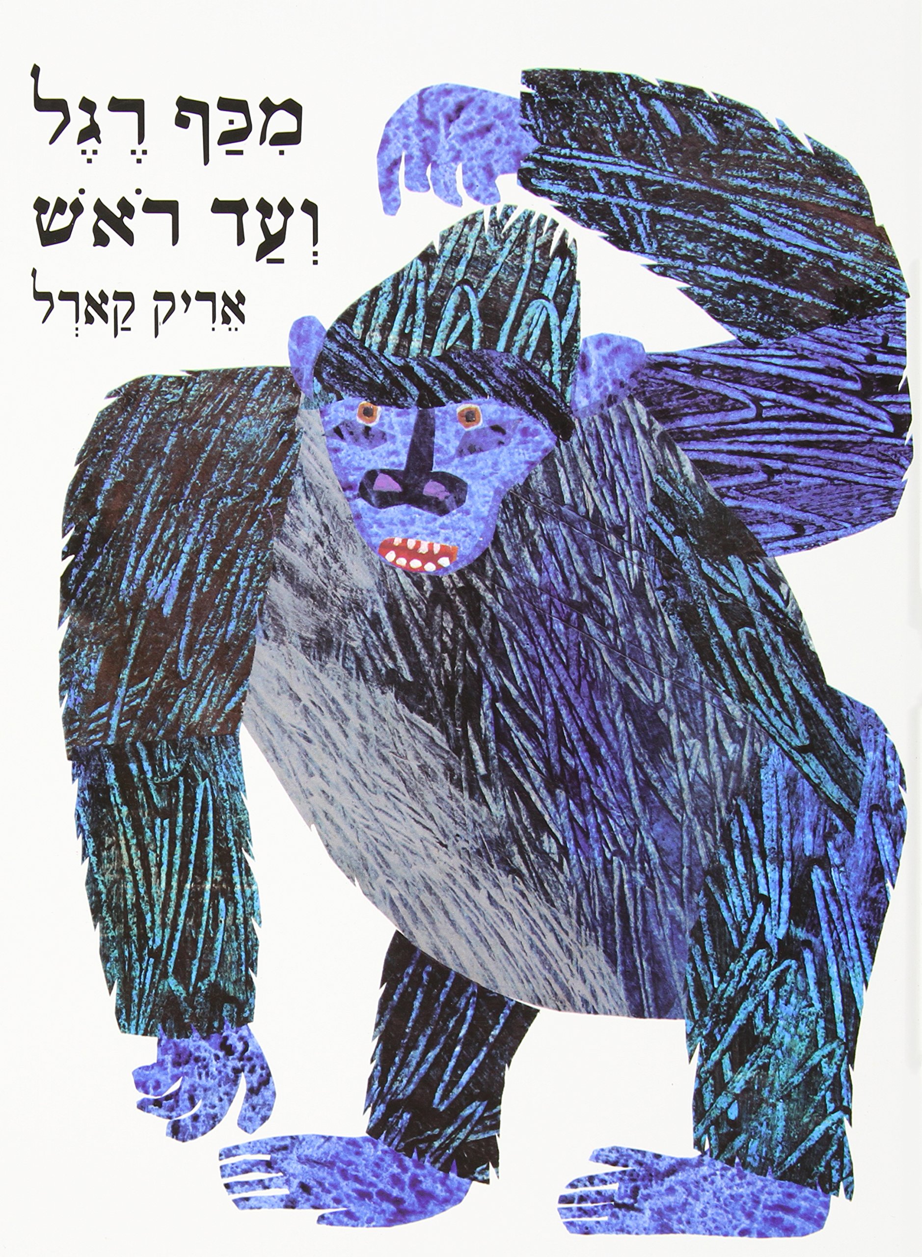 From Head to Toe (Hebrew) (Hebrew Edition)