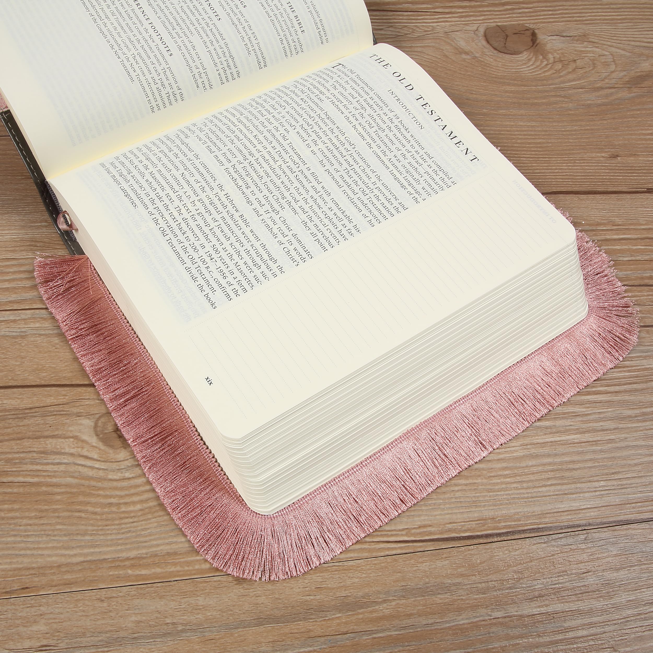 Bibel-Fransenborte Von Mr. Pen – 9,1 M, Warmes Braun, Baumwolle – Zum Verzieren & Nähen