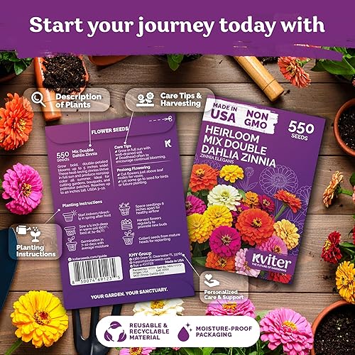 Miniatura 2 de KVITER 550 semillas de zinnia dalia para mezcla 2026 (Zinnia Elegans) - Flores dobles, sin OGM, reliquia y orgánicas - Semillas de flores para