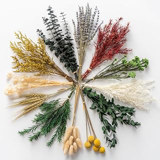 Wild Autumn 12 Varieties Dried Flowers Set: Lavender, Eucalyptus, Bunny Tails, Wheat - Handmade for DIY Crafts, Vase, Wedding & Home Decor