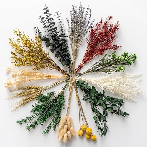 12 Kind Dried Flowers Set - Including Lavender, Eucalyptus, Wheat, Bunny Tails, Handmade for DIY Crafts, Vase Decor, Wedding/Home/Birthday/Seasonal Decor