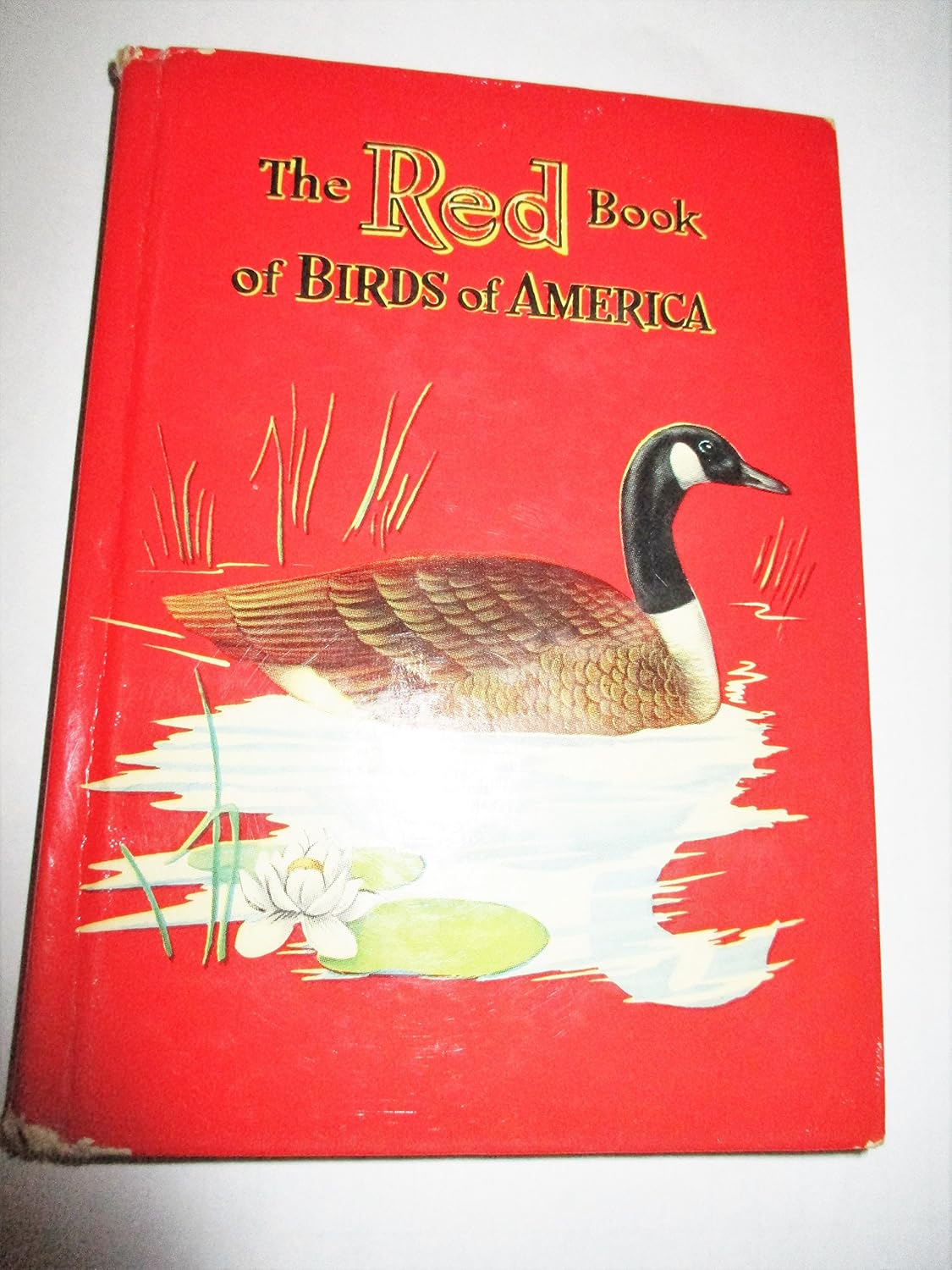 The red book of birds of America: Gulls, terns, ducks, herons ...
