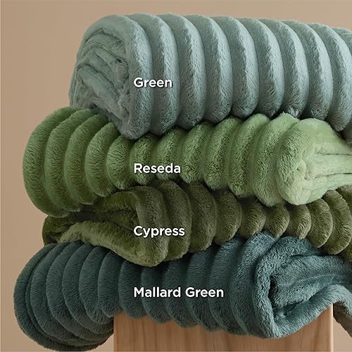 Miniatura 14 de Bedsure GentleSoft Twin Blanket for Couch - Cozy Soft Blankets for Women, Cute Small Fleece Throws for Girls, Light Grey, 60x80 Inches