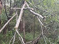 Review Image by I bought this screen protector and guard due to the reviews. Well I do not get what others got. The screen protector did not stick. After multiple attempts at applying the screen protector I gave up as there was lint on the stick side so it was of no use to me. The screen guard worked as detailed in the description. I can not send back as the screen protector is essentially destroyed. Will not buy again from this vendor. I bought this screen protector and guard due to the reviews. Well I do not get what others got. The screen protector did not stick. After multiple attempts at applying the screen protector I gave up as there was lint on the stick side so it was of no use to me. The screen guard worked as detailed in the description. I can not send back as the screen protector is essentially destroyed. Will not buy again from this vendor.