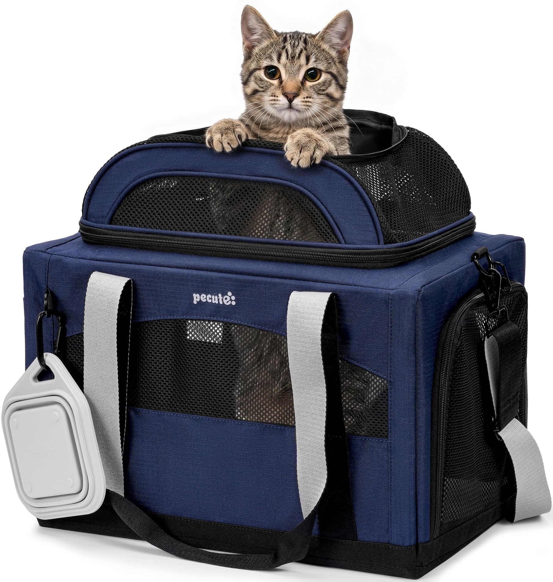 Pecute Trasportino Gatto Espandibile con Ciotola - Blu | Espansione Superiore / Inclusa Ciotola Pieghevole / Fino a 6kg / Ideale Auto e Viaggi