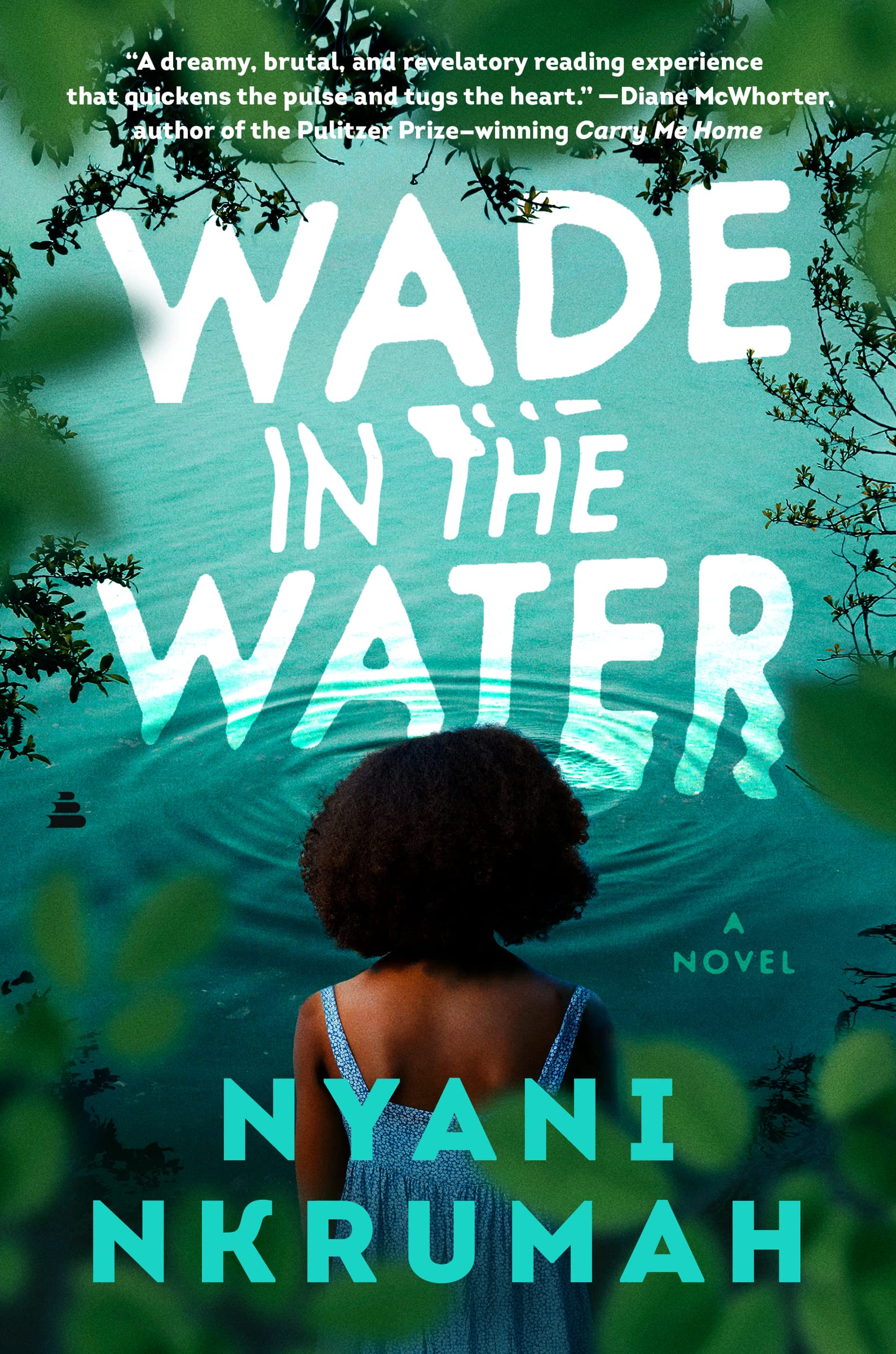 Buy Wade in the Water: A Novel โ BookShops.in
