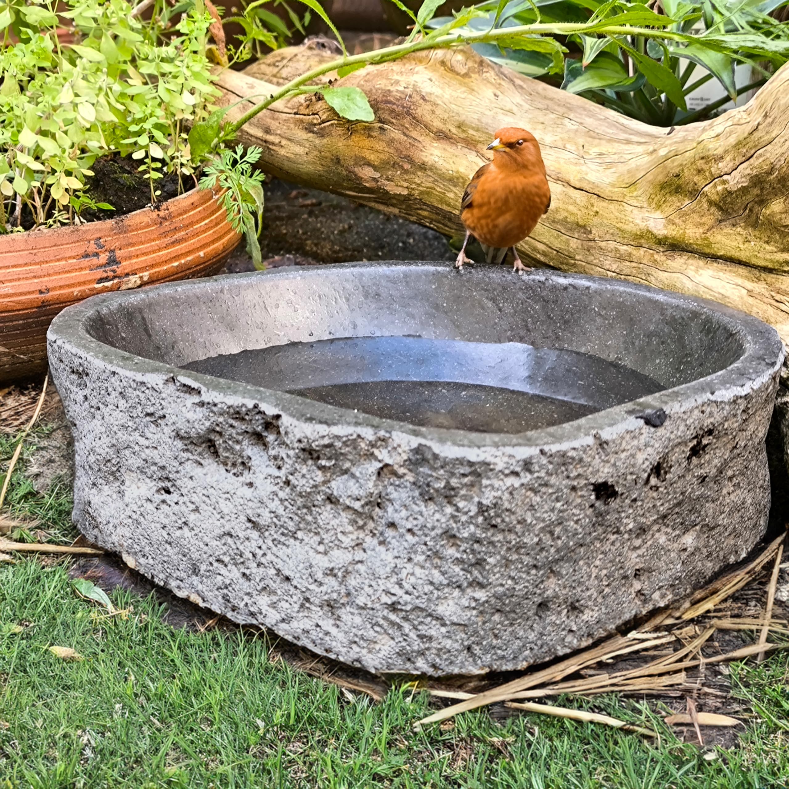 Steintrog Vogeltränke - Tier-Wassernapf aus Naturstein - Handgefertigte Schale - für Vögel, Hunde & Katzen - Frost- & Wetterfest - Garten Deko Wasserschale (Massiv)