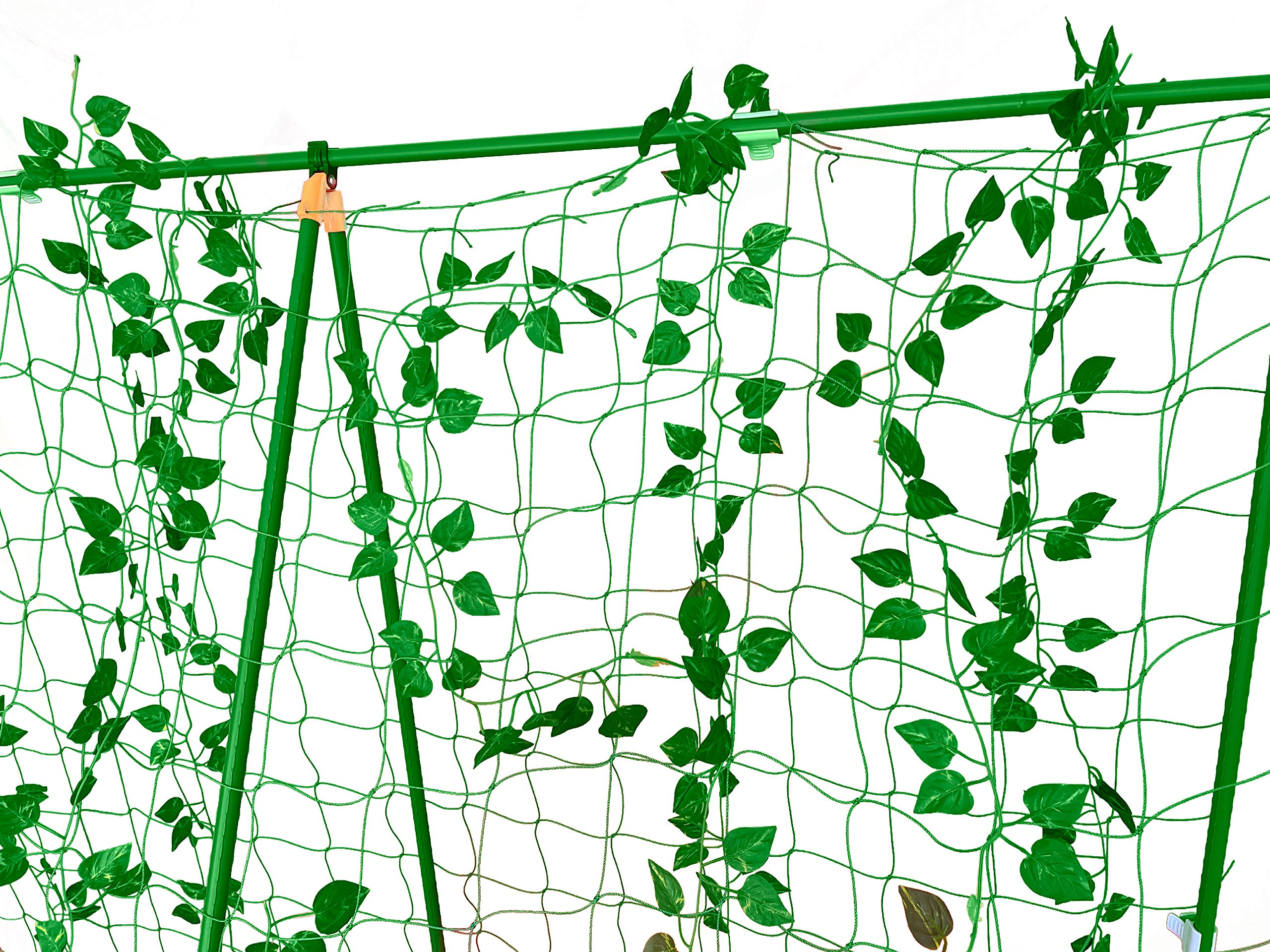 Buy Reinforced Metal Garden Trellis for Climbing Plants Outdoor on or