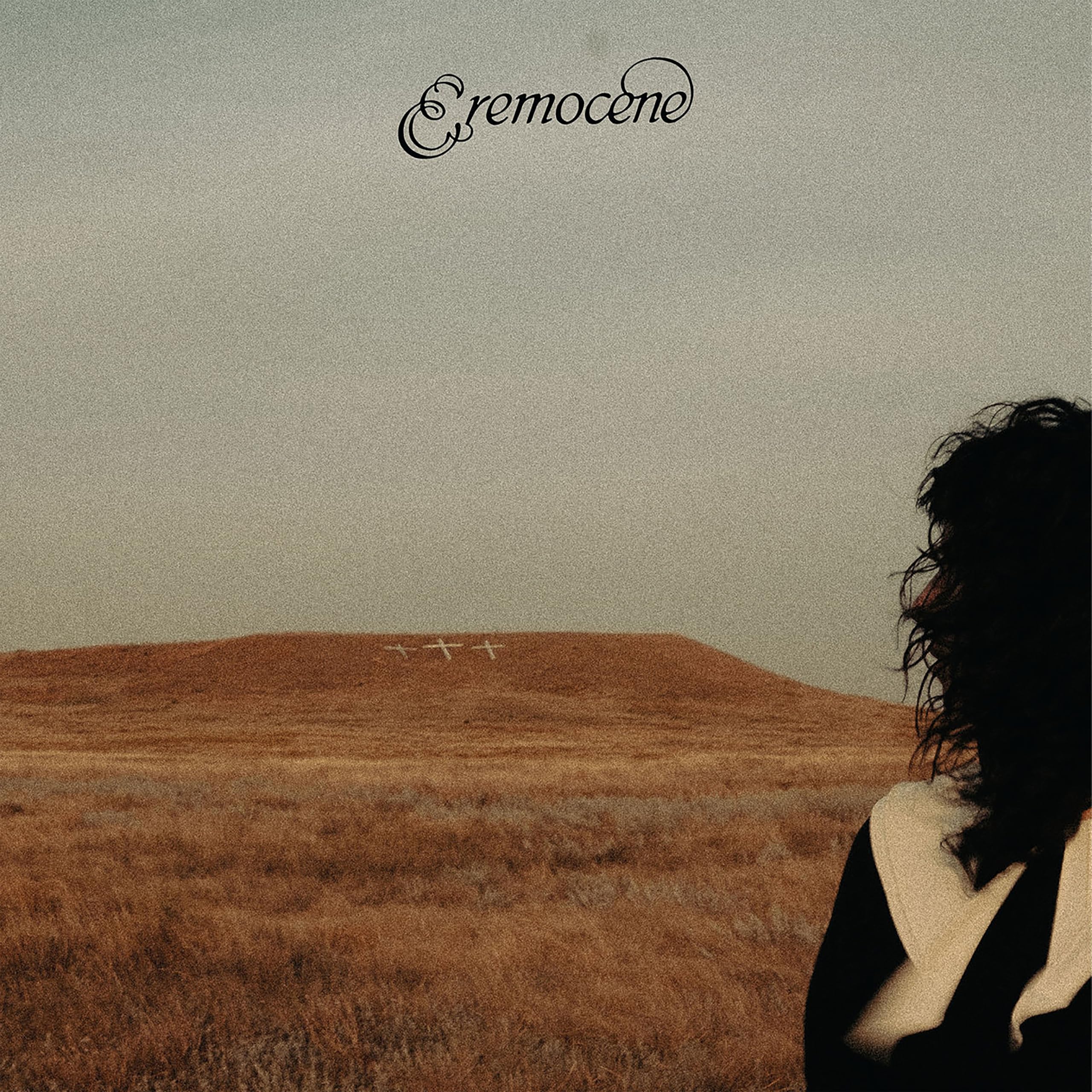 Eremocene VINYL pour Vos Soirées Détente et Sessions Écoute au Salon sur Platine