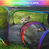 Ver la foto 5