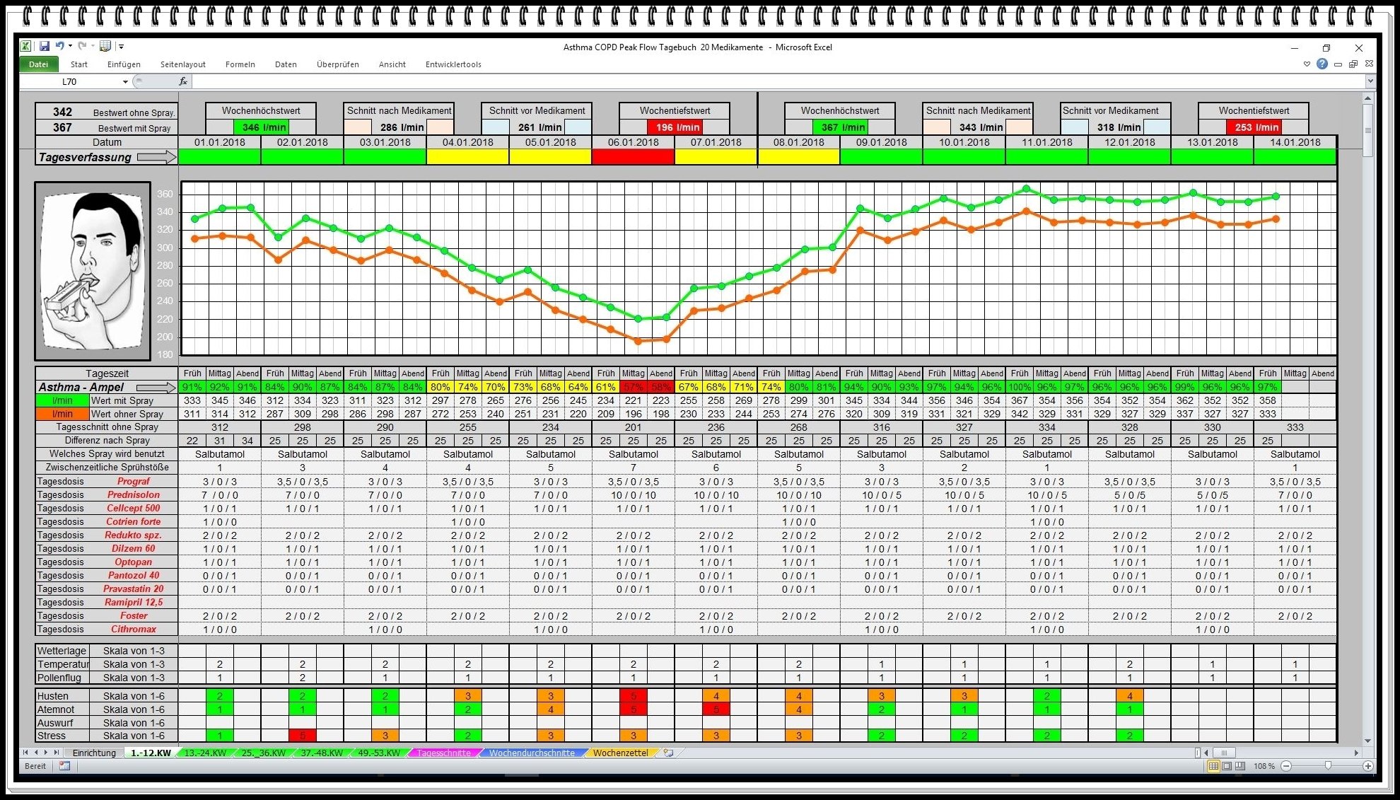 Asthma Tagebuch Software Peak Flow Protokoll