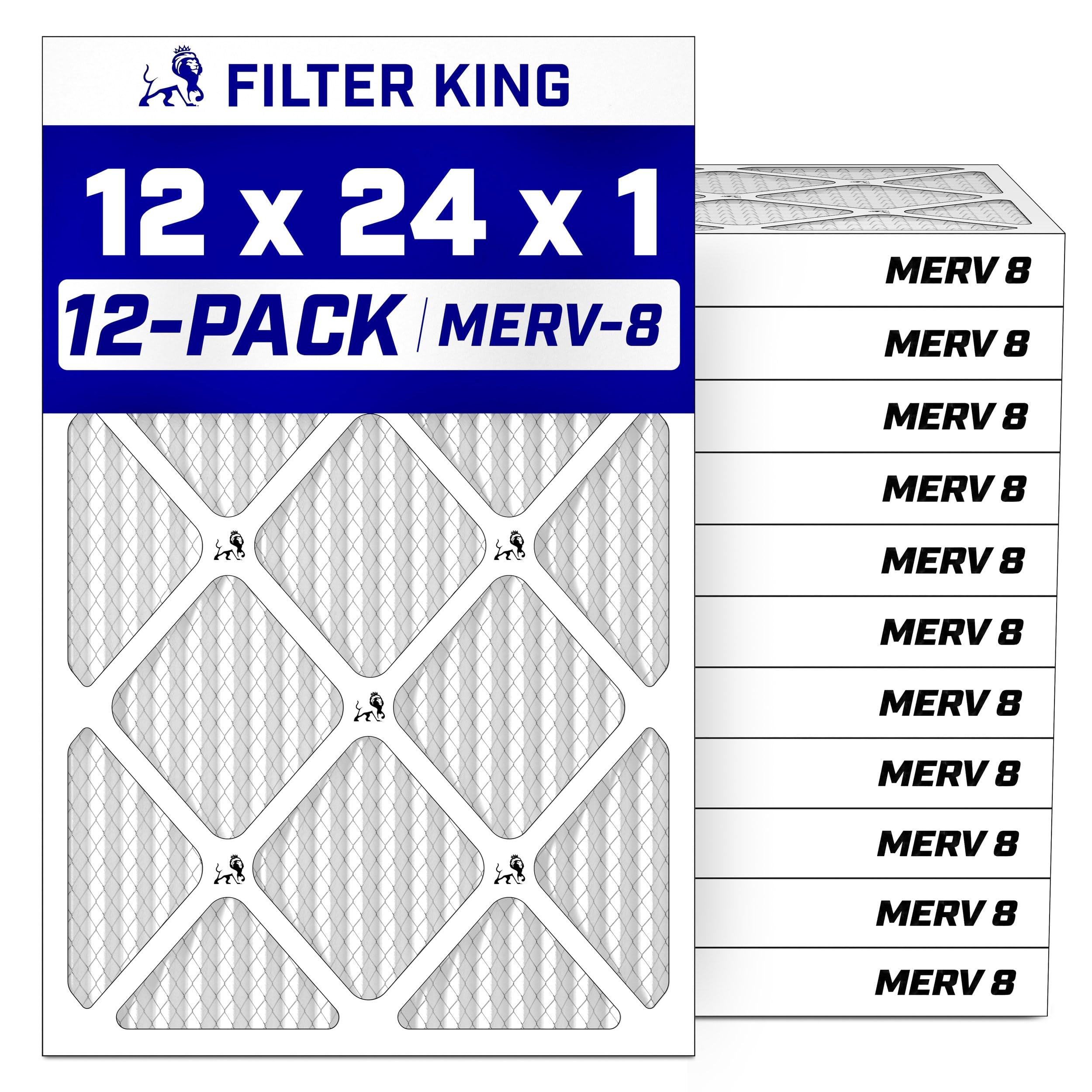 Filter King 12-Pack MERV 8 Air Filter