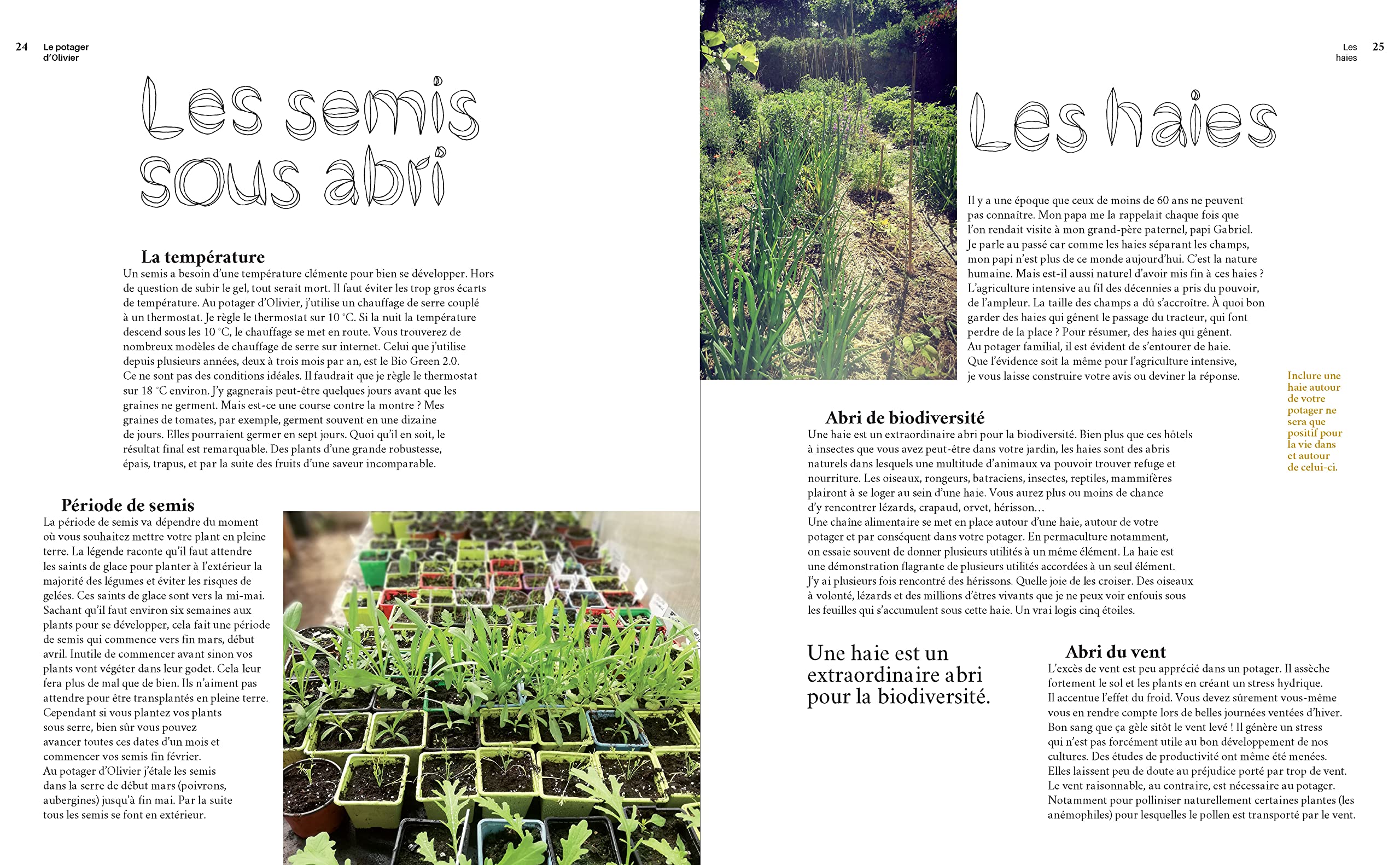 Le potager d'Olivier: Nourrir sa famille, nourrir son esprit