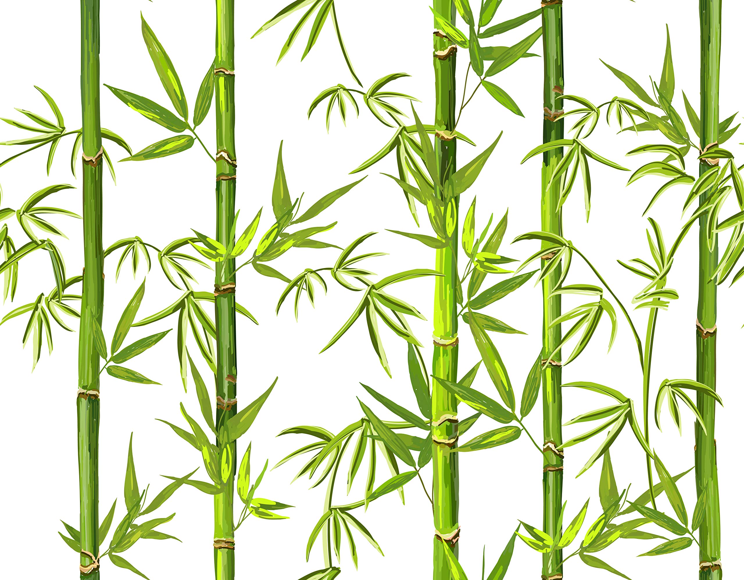 Unique Graphics Bamboo Tree Art Self Adhesive Wallpaper Waterproof, Scratch Resistant, Laminated 41cm x 244cm (B08PFH6Q66) Amazon Price History, Amazon Price Tracker