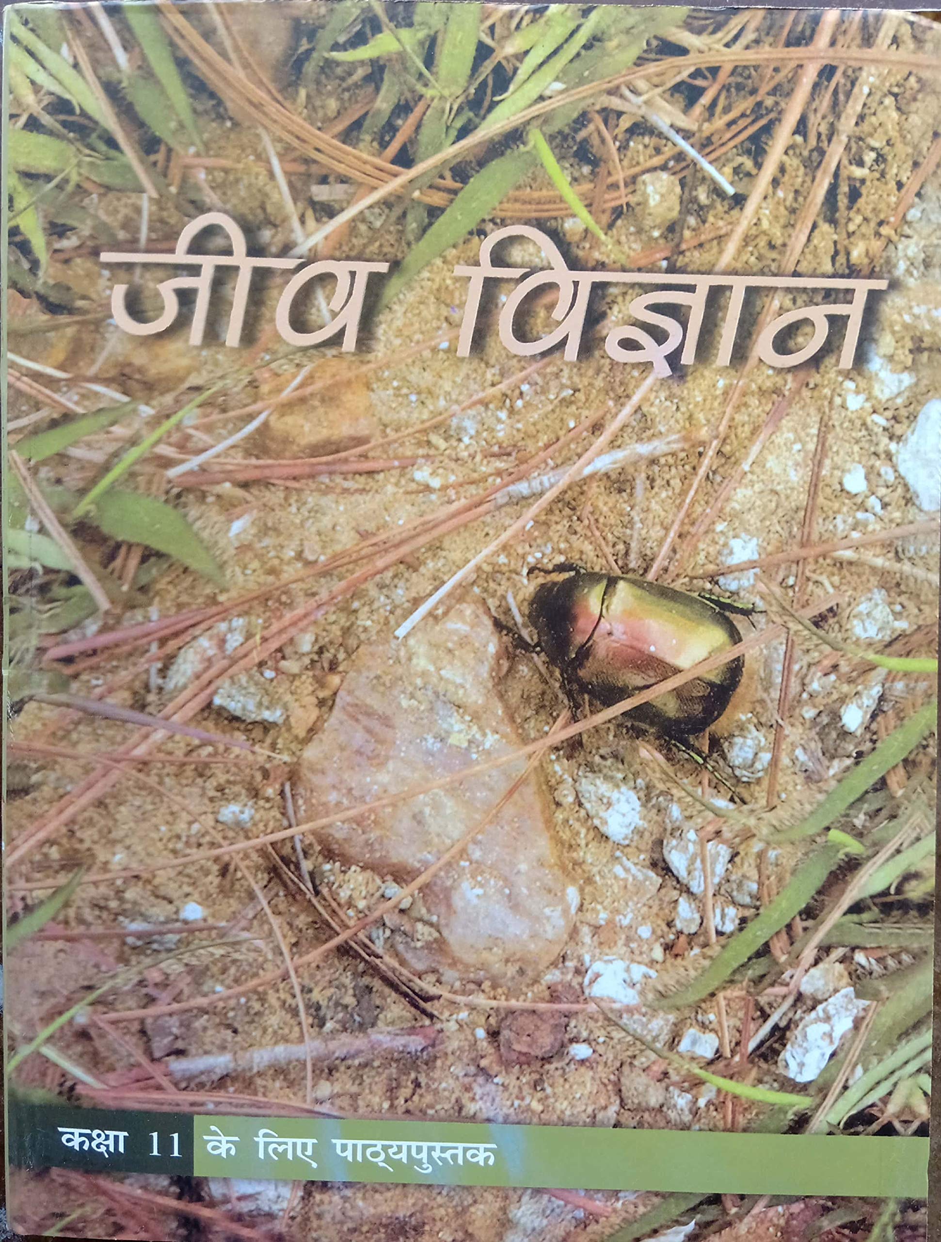 Class 11th NCERT BIOLOGY IN HINDI (jeev vigyan); 2019 edition Paperback – 1 January 2019
