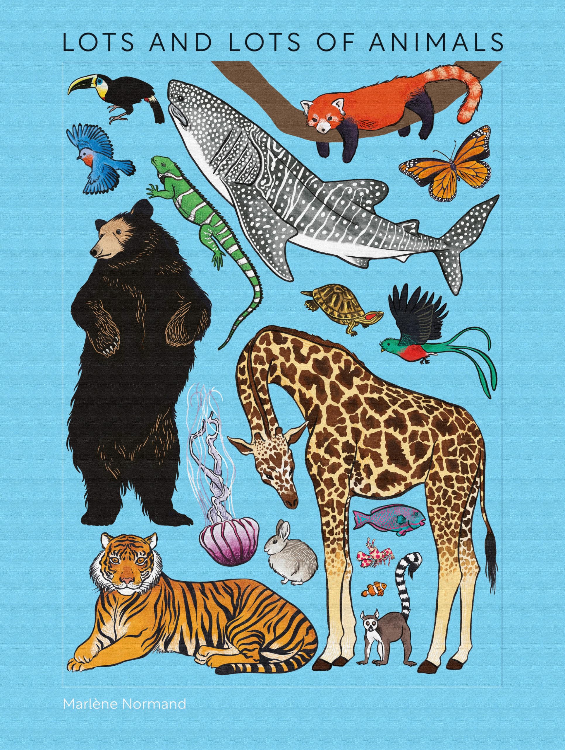 Lots and Lots of Animals by Marlne Normand - 9781454798996