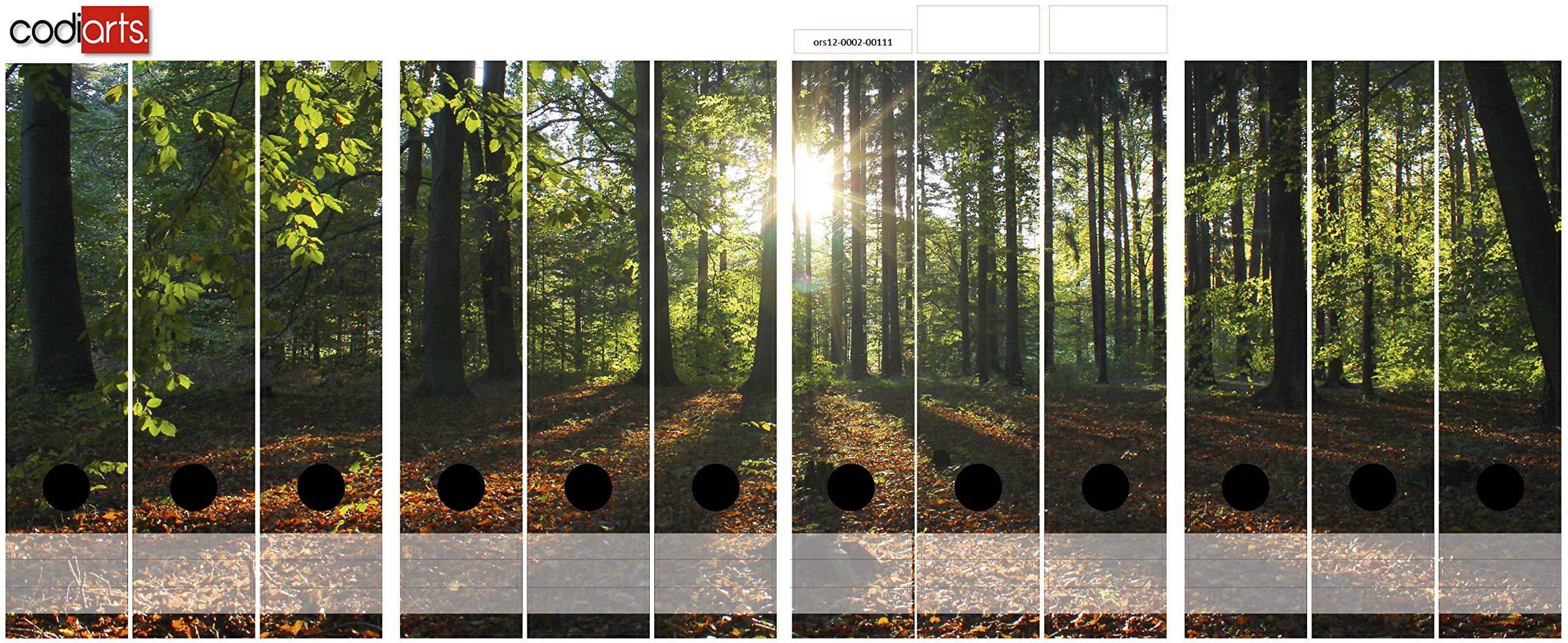 Dos de classeur autocollant | Lot d'étiquettes pour 12 classeurs larges | Perforées avec trou de préhension | Étiquette arrière large | Motif coucher de soleil sur clairière