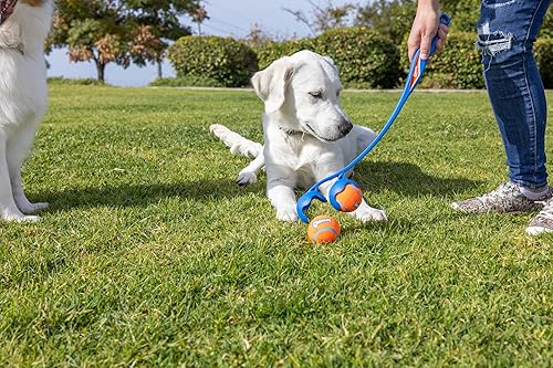 Miniatura 7 de Chuckit! The Duo - Juguete para perro lanzador doble de 72.2 ft, 22 pulgadas de longitud, incluye 2 pelotas de tenis medianas (2.5 pulgadas), tamaño