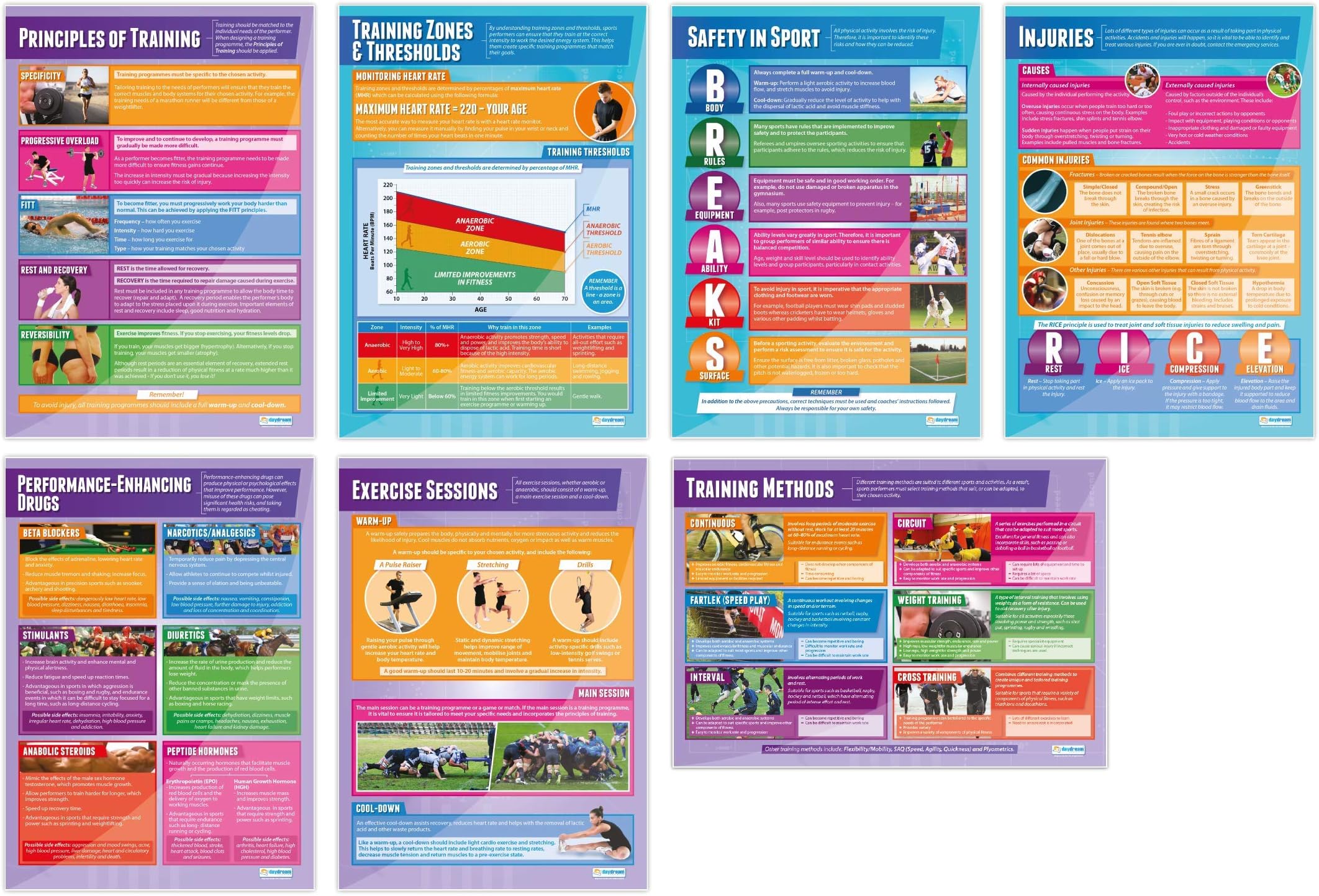 Daydream Education Physical Training Classroom Posters - Set of 7 - EXTRA LARGE 33” x 23.5” - Laminated - Physical Education Middle & High School Class Decor - Wall Charts