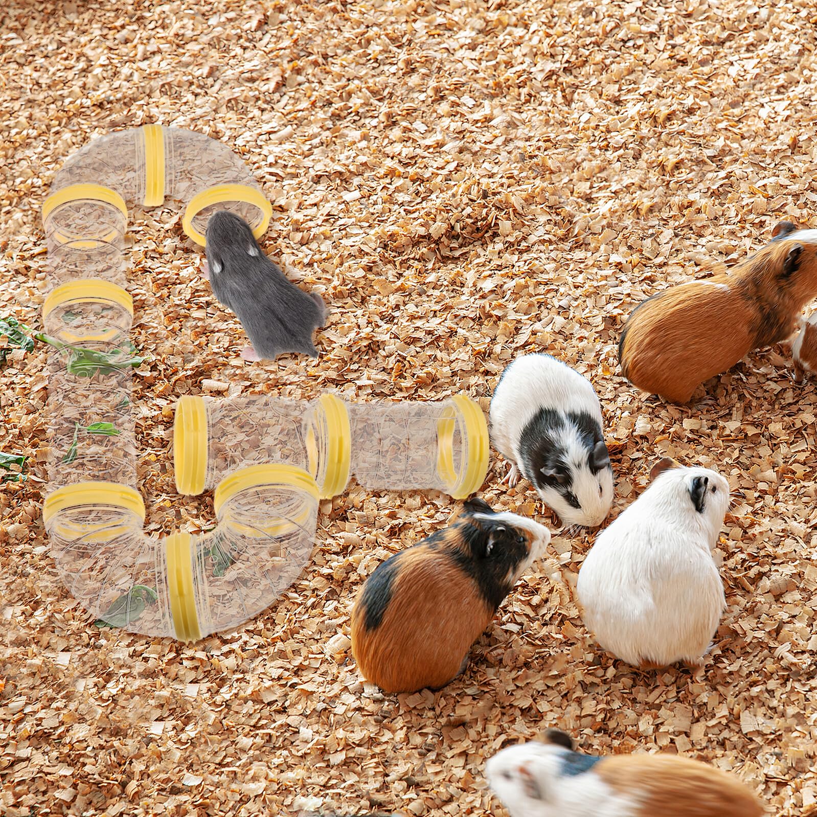 TOYANDONA 2sätze Hamsterröhren Kunststoff mit Transparenten Verbindungstunneln für Haustierkäfige DIY-modularer Tunnel für Mäuse Hamster Ratten und Kleintiere
