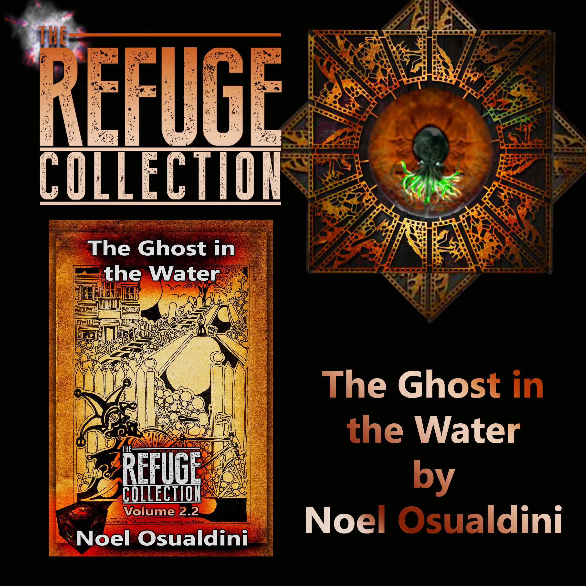 Cover art for The Ghost in the Water
