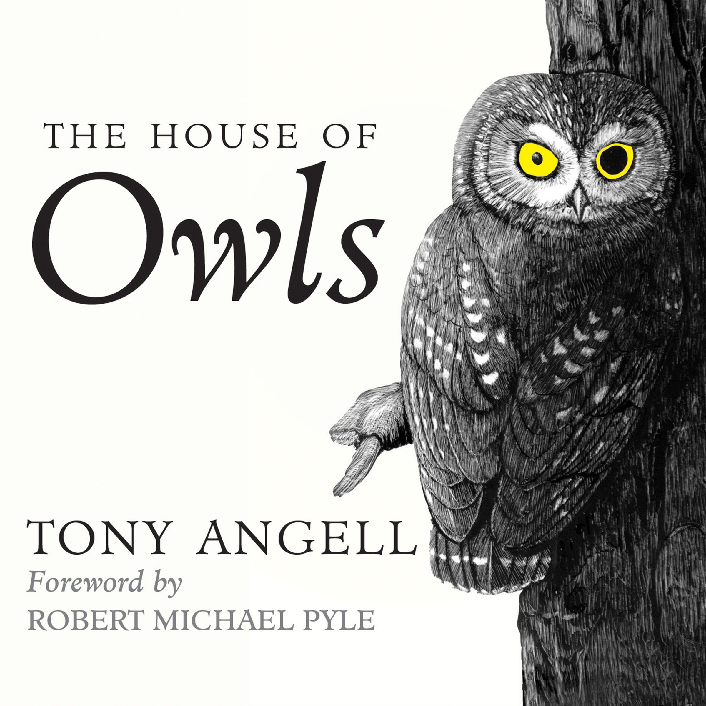 Cover art for The House of Owls