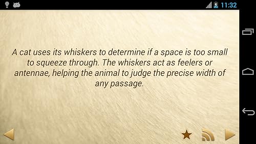 Daily Amazing Animal Facts