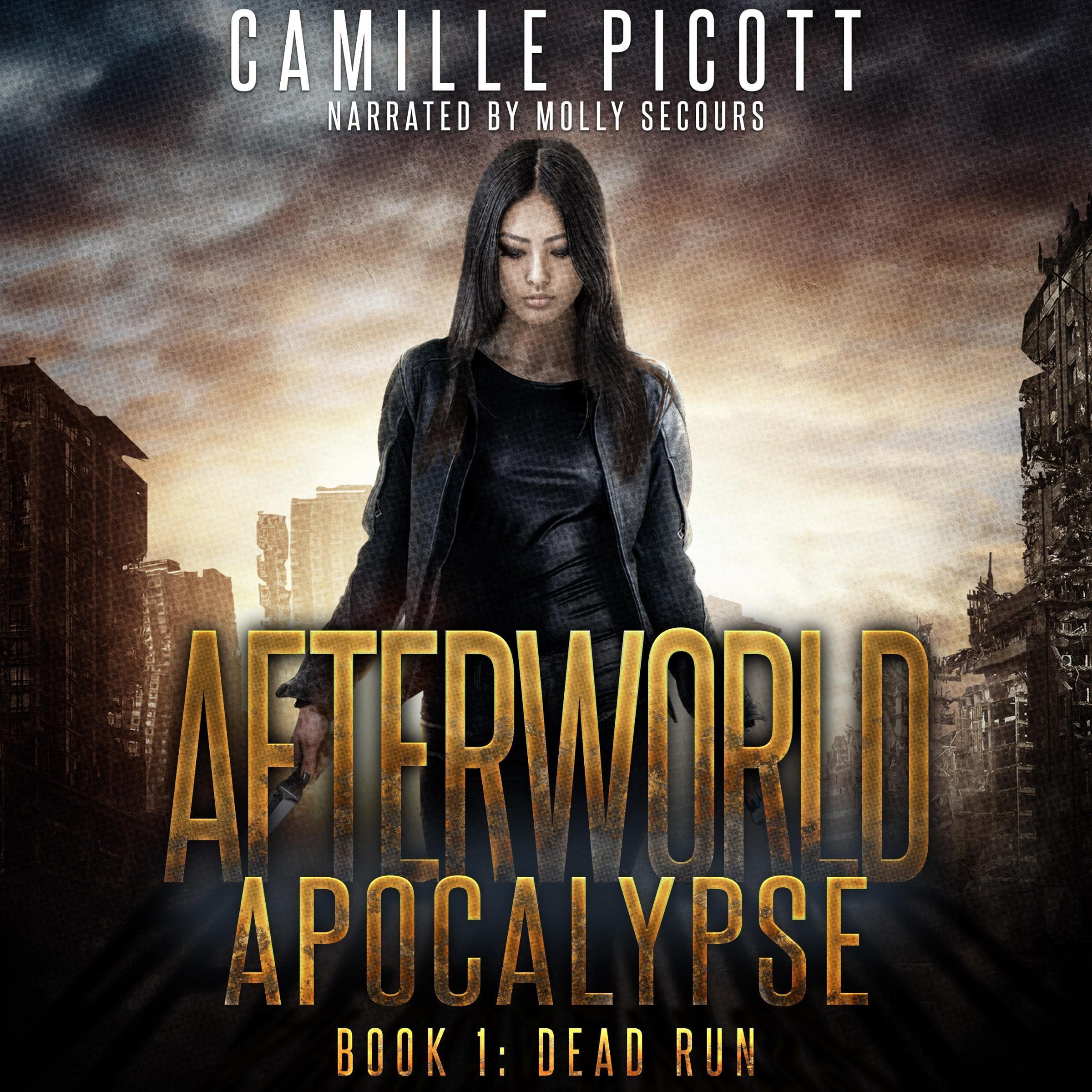 Cover art for Dead Run