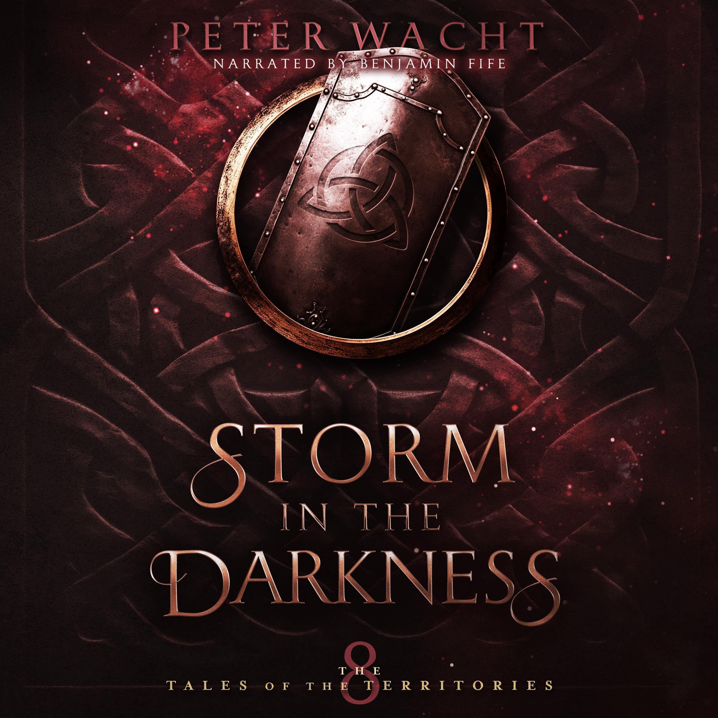 Cover art for Storm in the Darkness